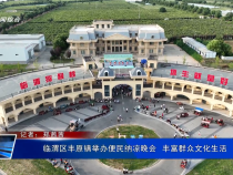 臨渭區豐原鎮舉辦便民納涼晚會  豐富群眾文化生活