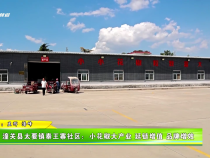 潼關(guān)縣太要鎮(zhèn)秦王寨社區(qū)：小花椒大產(chǎn)業(yè) 延鏈增值 品牌增效