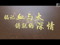 歷史的回響｜銘記血與火鑄就的深情