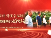《學習身邊榜樣》郭家莊村黨總支：黨建引領幸福路 櫻桃映紅好日子