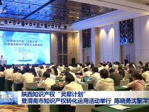 陜西知識產權“靈犀計劃”暨渭南市知識產權轉化運用活動舉行 陳曉勇沈黎萍致辭