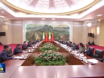 習(xí)近平會(huì)見(jiàn)緬甸代總統(tǒng)敏昂萊