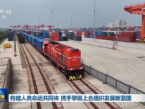 構(gòu)建人類命運(yùn)共同體 攜手擘畫上合組織發(fā)展新藍(lán)圖