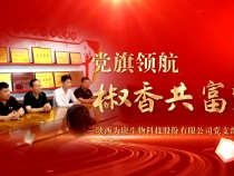 《身邊的榜樣》黨旗領航椒香共富路