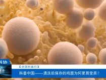 【全國科普月】科普中國——清洗后保存的雞蛋為何更易變質？