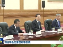 習近平會見津巴布韋總統姆南加古瓦