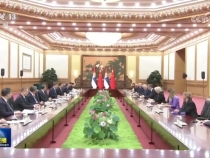 習近平會見塞爾維亞總統武契奇