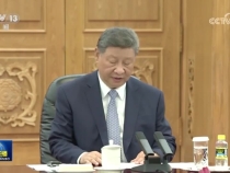 習近平會見剛果（布）總統薩蘇