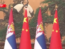 習近平會見塞爾維亞總統：弘揚正確二戰史觀 捍衛反法西斯戰爭勝利成果