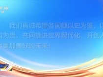 堅持走和平發展道路 構建人類命運共同體