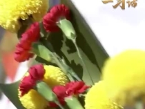 一習話丨“一切民族英雄，都是中華民族的脊梁”