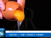 【全國科普月】科普中國——雞蛋一天到底吃幾個最健康？