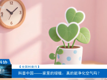 【全國科普月】科普中國——家里的綠植，真的能凈化空氣嗎？