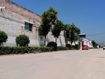 韓城市西莊鎮柳枝村：讓路更暢燈更亮 “千萬工程”惠民生