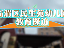 臨渭區(qū)民生苑幼兒園教育探訪