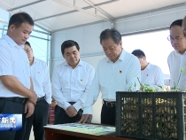 樊維斌在大荔縣調研時強調
深化“千萬工程”實踐 
推進鄉(xiāng)村全面振興取得新成效