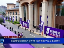 首屆葡萄經(jīng)銷商大會(huì)開幕 臨渭葡萄產(chǎn)業(yè)發(fā)展迎新機(jī)