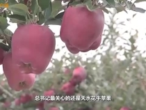 以加快農(nóng)業(yè)農(nóng)村現(xiàn)代化更好推進(jìn)中國(guó)式現(xiàn)代化建設(shè)