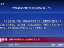 黨鋒調(diào)研村級(jí)黨組織建設(shè)等工作