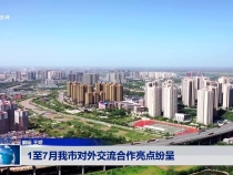 《絲路渭南》1至7月我市對外交流合作亮點紛呈