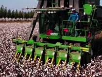 學習新語｜習近平總書記的“新疆情”