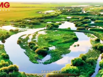 時政微視頻丨黃河更美了