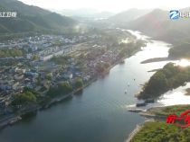 第一視點丨不負青山 金山自來