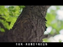 時政鏡距離｜“山不再高，路不再遠，我們更近了”