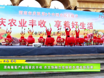 渭南葡萄產業園里慶豐收 農文旅融合繪就助農增收新圖景