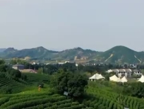 習近平的鄉(xiāng)土情