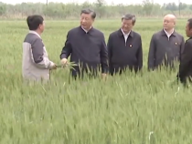 習語｜“中國的飯碗一定要端在自己的手里”