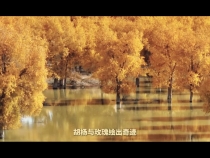 拾光紀特別策劃·《我們新疆好地方》