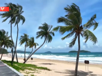 習近平在聯合國氣候變化峰會發表視頻致辭