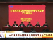 全市醫(yī)?；鸸芾硗怀鰡栴}專項整治工作調(diào)度會召開