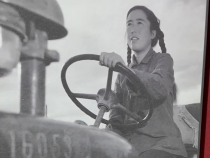 近鏡頭｜總書記凝視的這臺拖拉機見證新疆滄桑巨變