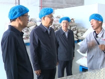 陳曉勇在韓城市調(diào)研時強調(diào) 加快推進項目建設(shè) 守牢安全生產(chǎn)底線