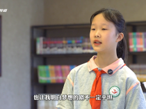 【好書推薦】渭南市實驗小學楚思同《狼王夢》