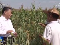 【新思想引領新征程·非凡“十四五”】我國糧食供給保障能力持續增強