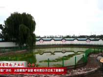 【千萬工程看渭南·產業興】大荔縣朝邑鎮廣濟村：從田埂到產業鏈 咱村把日子過成了甜模樣