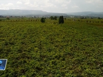 9月29日臨渭新聞