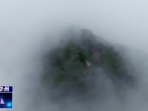 【瞰華州】云海潑墨 少華仙蹤