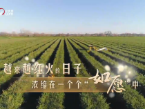 時政微視頻｜如愿