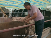 追光的你丨火紅的日子