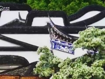 微視頻｜切切故鄉情