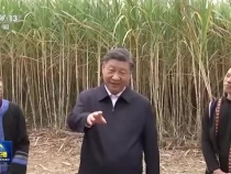 繪就鄉村全面振興壯美畫卷