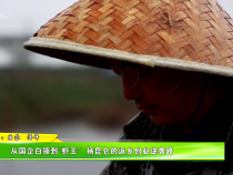 從國企白領到“蝦王”楊昆侖的返鄉創業逆襲路