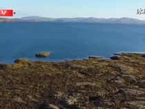 習(xí)近平：中國和冰島都積極倡導(dǎo)性別平等，愿推動全球婦女事業(yè)得到新發(fā)展