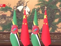 習(xí)近平：多米尼克是中國在加勒比地區(qū)的好朋友 好伙伴