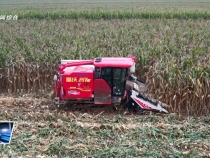 10月15日臨渭新聞