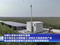 趙剛在渭南市調研時強調 提升糧食安全保障能力 持續壯大特色優勢產業 推動高質量發展現代化建設不斷取得新成效